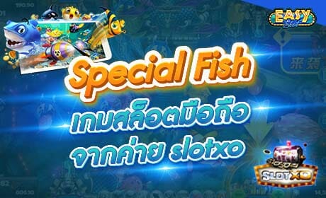 Special Fish Slotxo