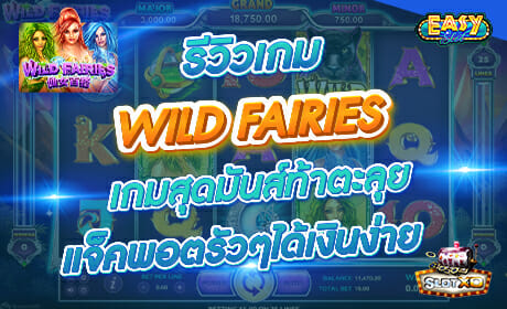Wild Fairies จาก slotxo